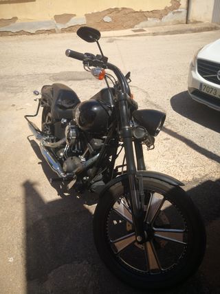 Harley davidson Softail