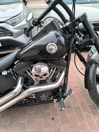 Harley davidson Softail