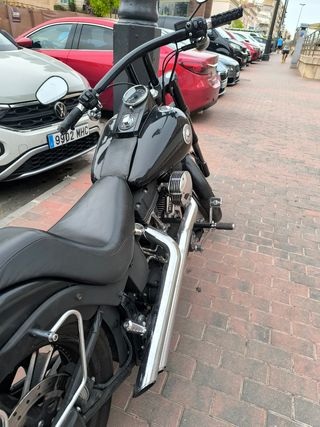 Harley davidson Softail