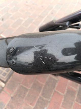 Harley davidson Softail