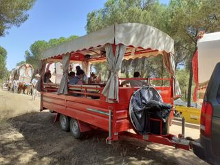 carriola para Romerías