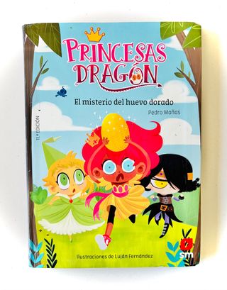 Libro Princesas Dragón