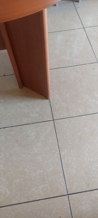 mesa de madera, ovalada, extensible