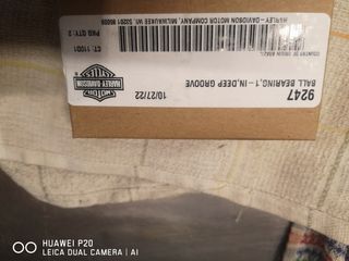 Harley Davidson rodamientos