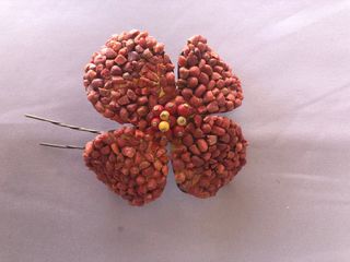 Flor base carey