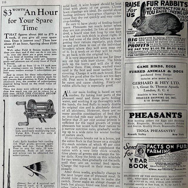 Antiguo libro inglés de revistas de caza y pesca