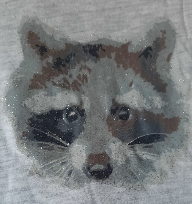 Camiseta estampada de Lupilu