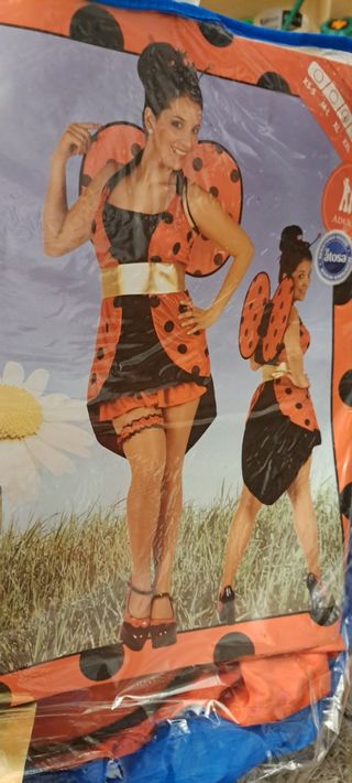disfraz mujer mariquita carnaval