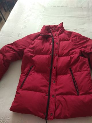 plumas rojo