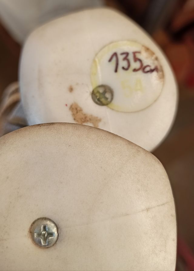 135, Palos de esqui Rossignol, Nuevos