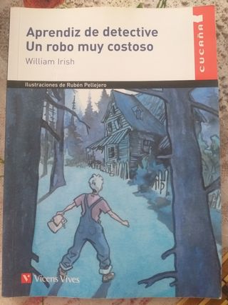 Libro APRENDIZ DE DETECTIVE UN ROBO MUY COSTOSO