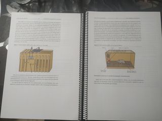 Fundamentos del aprendizaje y del lenguaje