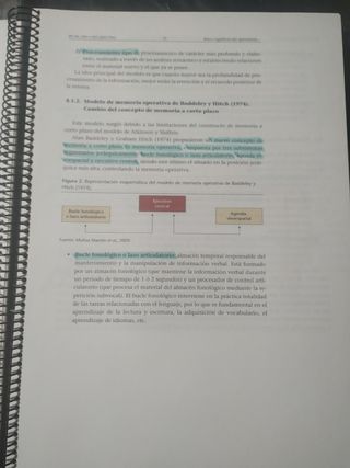 Fundamentos del aprendizaje y del lenguaje
