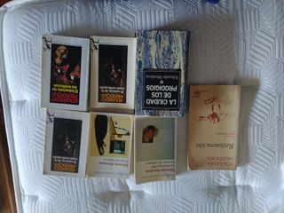 lote Eduardo mendoza