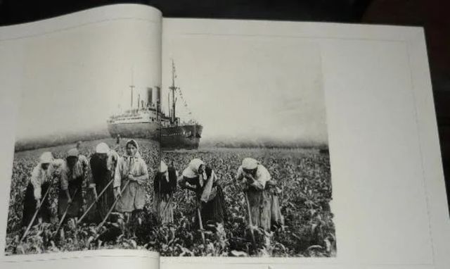 AS MANS DE AMERICA. 2 TOMOS EN ESTUCHE. GALICIA.