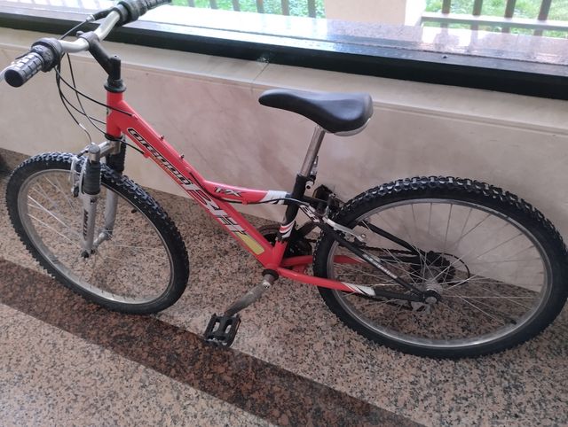 BH oregon 20 pulgadas