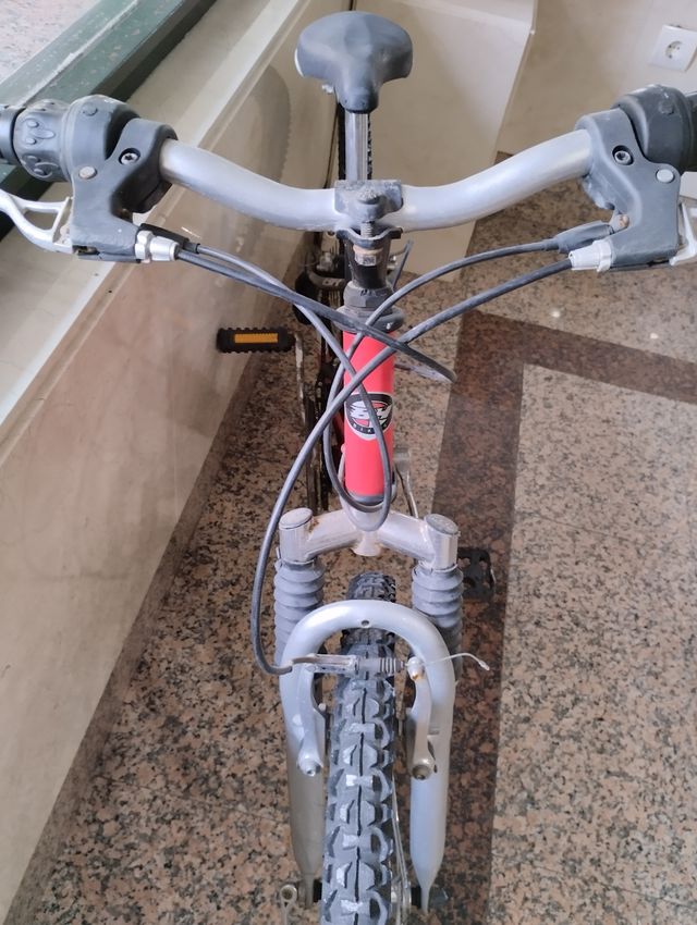 BH oregon 20 pulgadas