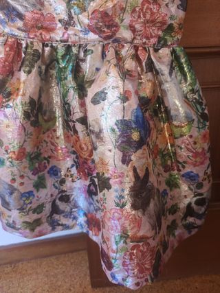 disfraz, vestido de primavera