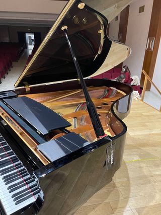 Profesor de piano/música