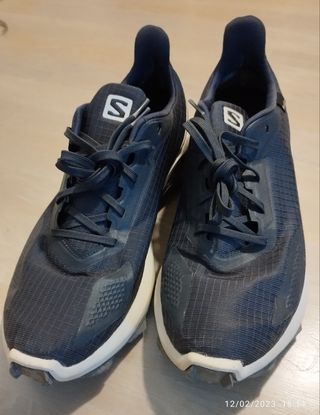 SALOMON Alphacross Goretex, talla 43+1\\/2 de segunda mano por 40 EUR en  Zarautz en WALLAPOP