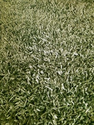 alfombra grande verde.