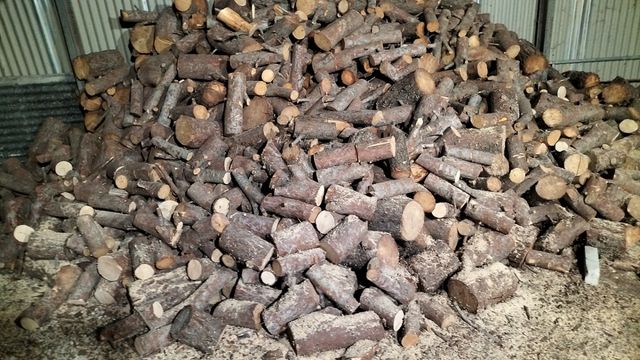 🔥🔥🪵🪵 Leña de pino seca 0.08€ kilo