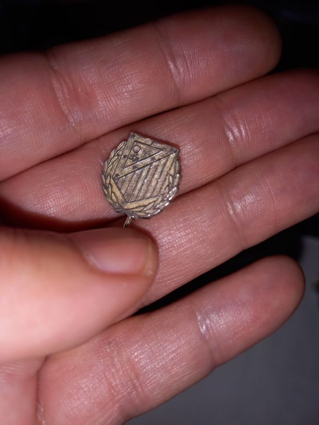 Spilla da bavero argentata 1995-96