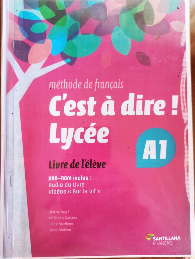 C'est diré! Lycée A1