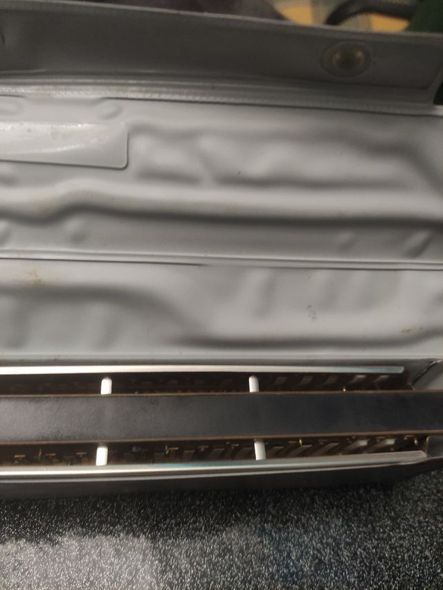 Harmónica Profesional