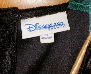 Costume da Carnevale di Anna di Frozen