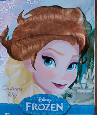 Costume da Carnevale di Anna di Frozen