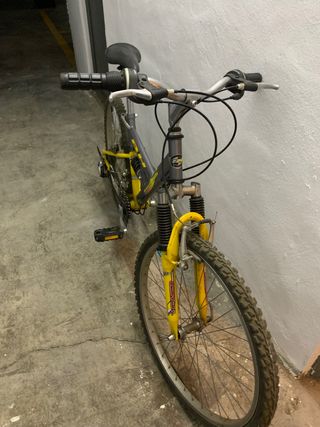 BH para niños/adolescentes