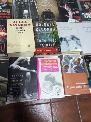 LOTE LIBROS