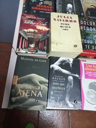 LOTE LIBROS