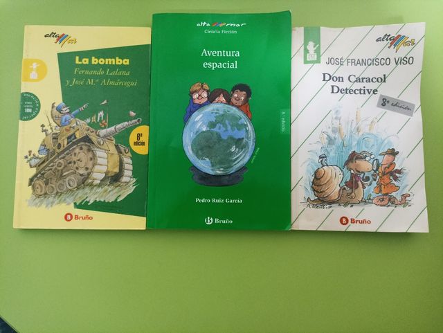 conjunto libros bruño