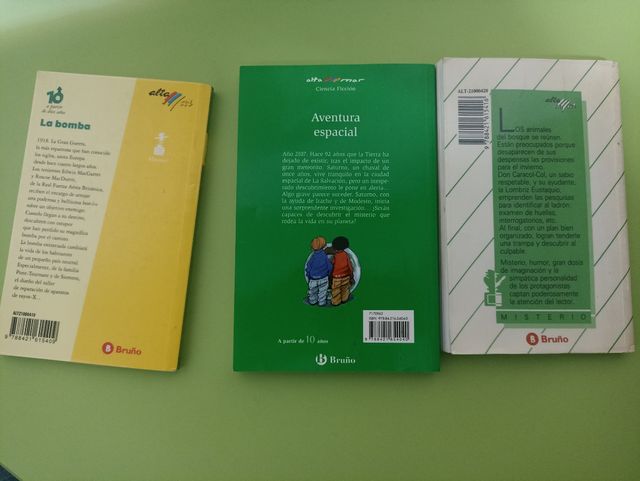 conjunto libros bruño