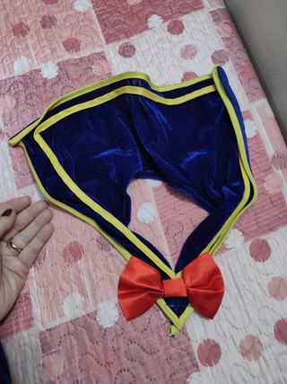 costume di carnevale