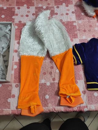 costume di carnevale