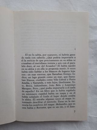 Los claveles negros de Mozambique