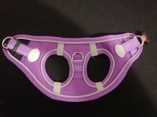 Arnés Perro - Morado XXS