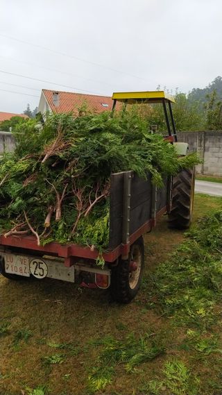 trabajos con tractor