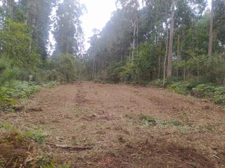 trabajos con tractor