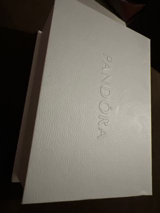 Set de limpieza joyas de Pandora