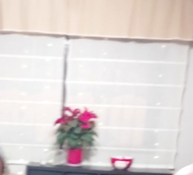 ESTORES SALON VENTANAL 118× 160cm