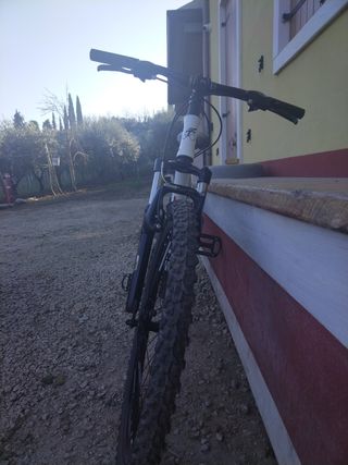 mountain bike fontana 