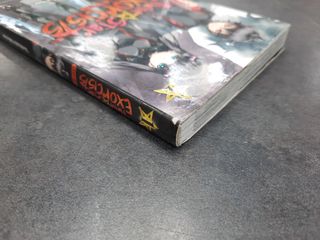 Manga TwinStar Exorcists 01