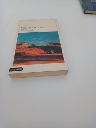 El camino (Miguel de libres)