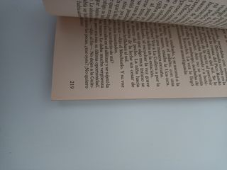 El camino (Miguel de libres)