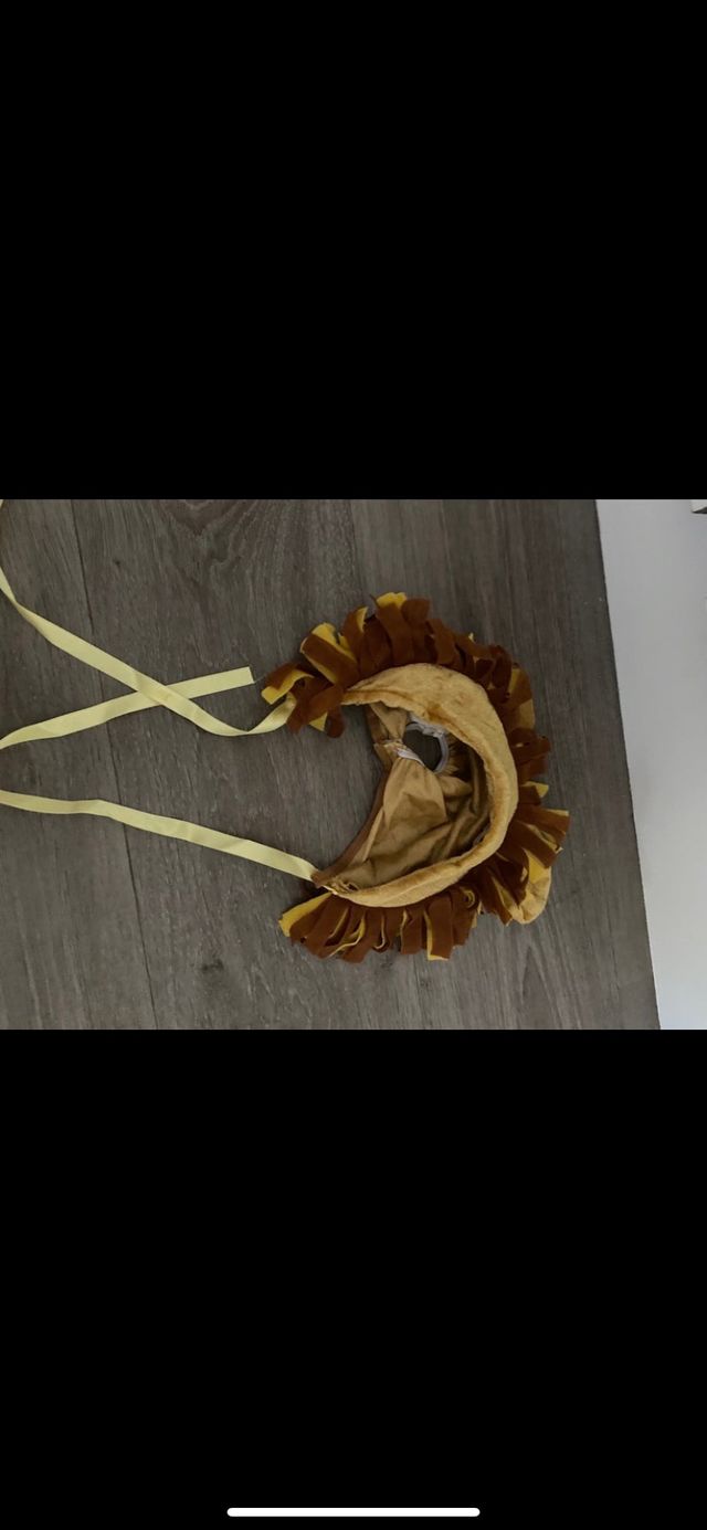 Disfraz León 12/24 meses aterciopelado