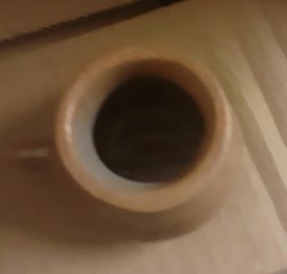 Abbeveratoi per uccelli